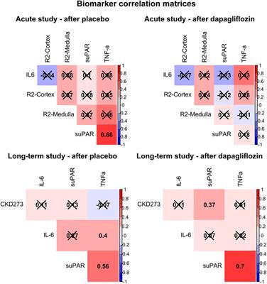 Acute and Long-Term Treatment With Dapagliflozin and Association With Serum Soluble Urokinase Plasminogen Activator Receptor